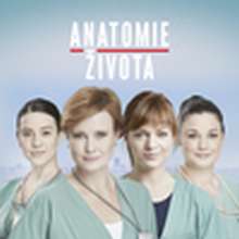 Anatomie života – 4.díl – Peníze nebo život