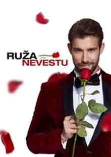 Ruža pre nevestu – 8.díl