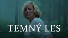 Temný les – 1.díl – Zmizení