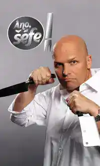 Ano, šéfe! 7 – 15. díl – Vídeň Luže